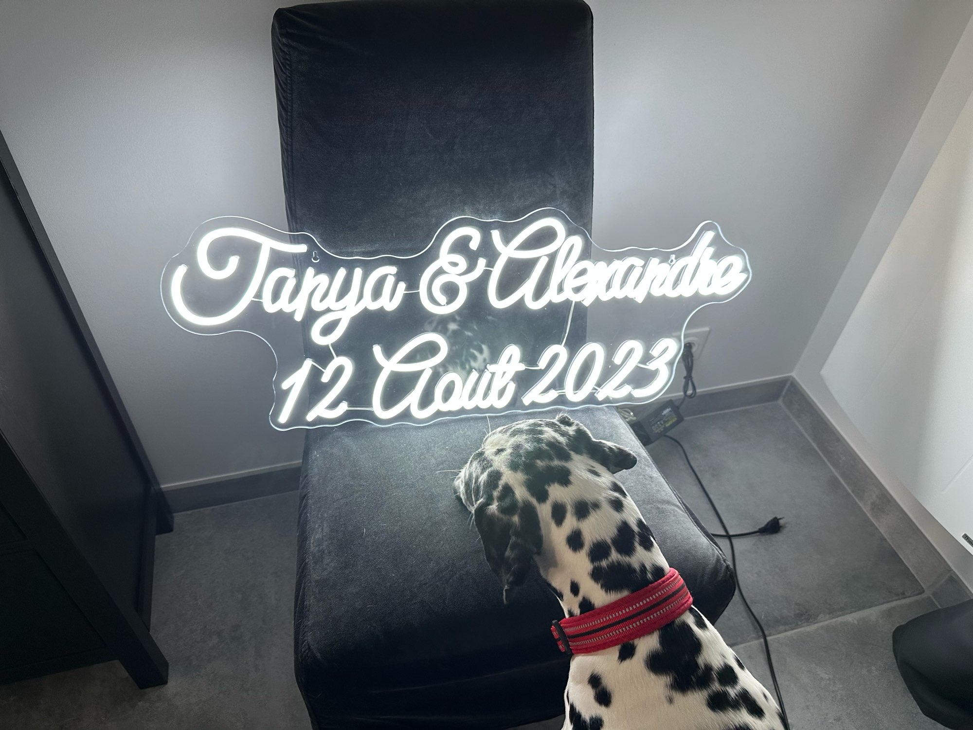 Custom Neon Sign LED Neon Ligh - đánh giá và giá Home Office Logo